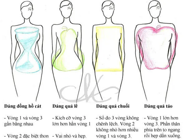 dáng người cơ bản để chọn váy cưới